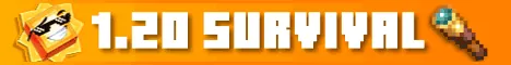 Sunny Survival-Banner
