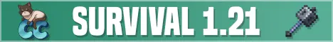 CatCraft banner
