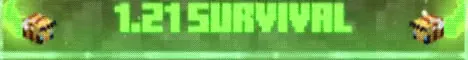 VaultSMP banner