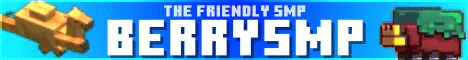 Banner BerrySMP